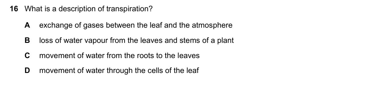 Question 16, November 2017, 0610 Paper 23