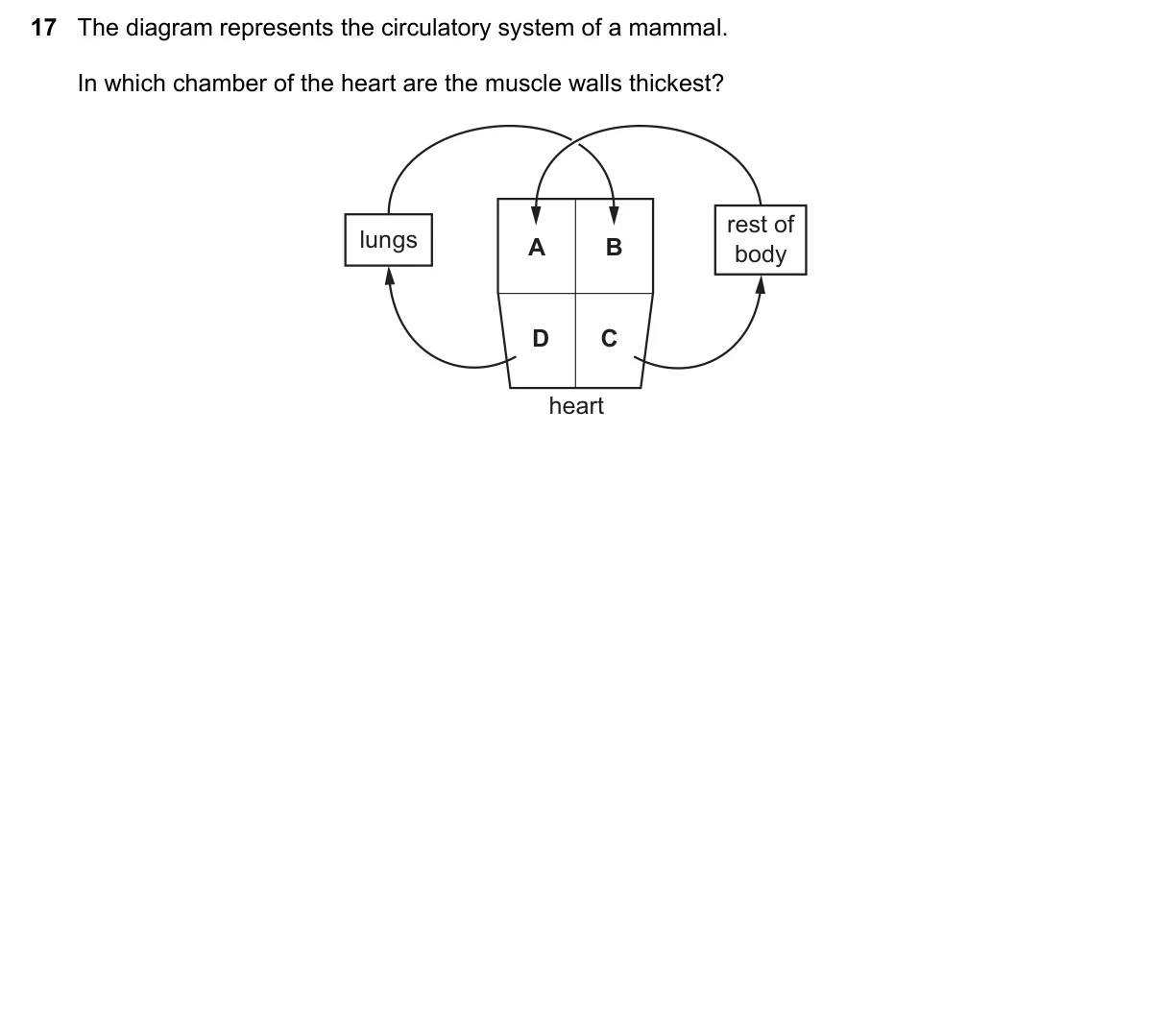 Question 17, November 2017, 0610 Paper 23