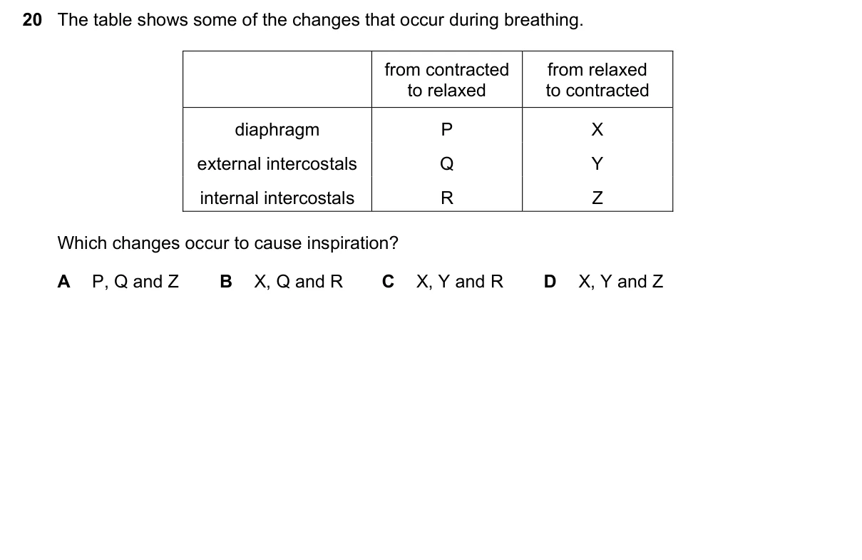 Question 20, November 2017, 0610 Paper 23