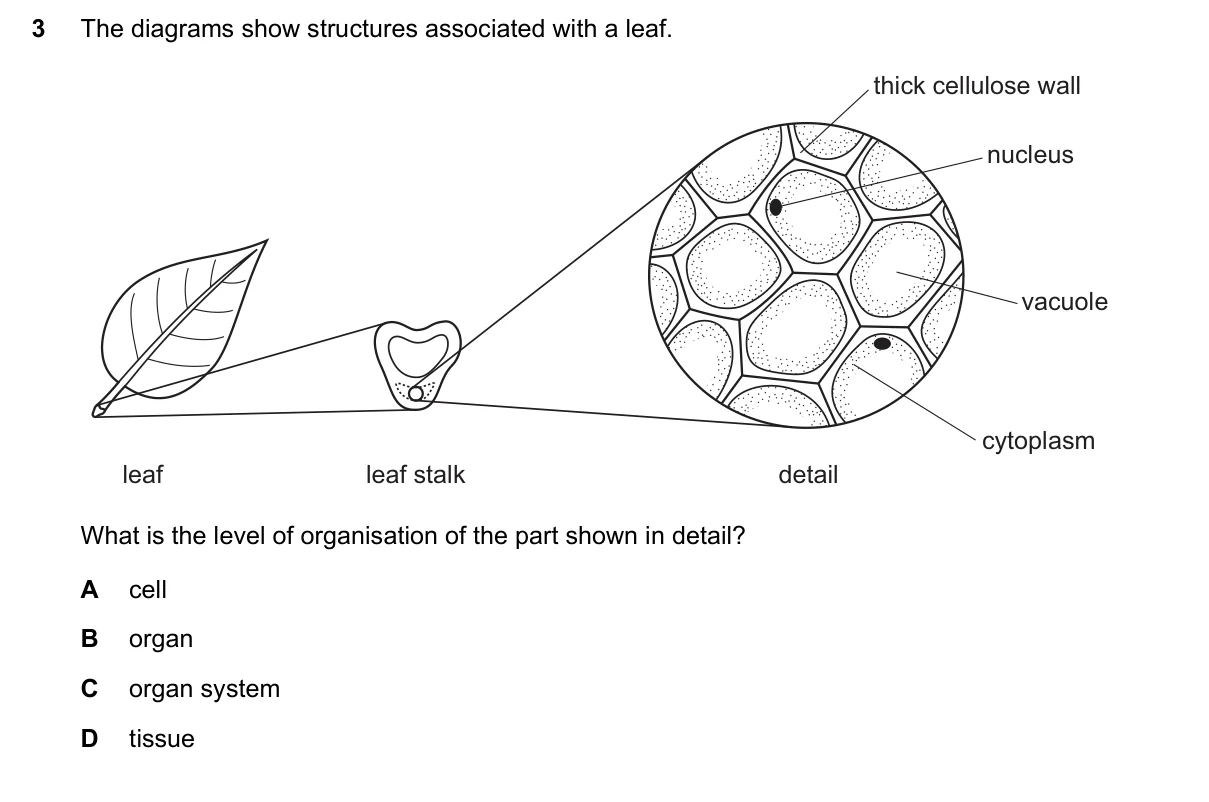 Question 3, November 2017, 0610 Paper 23