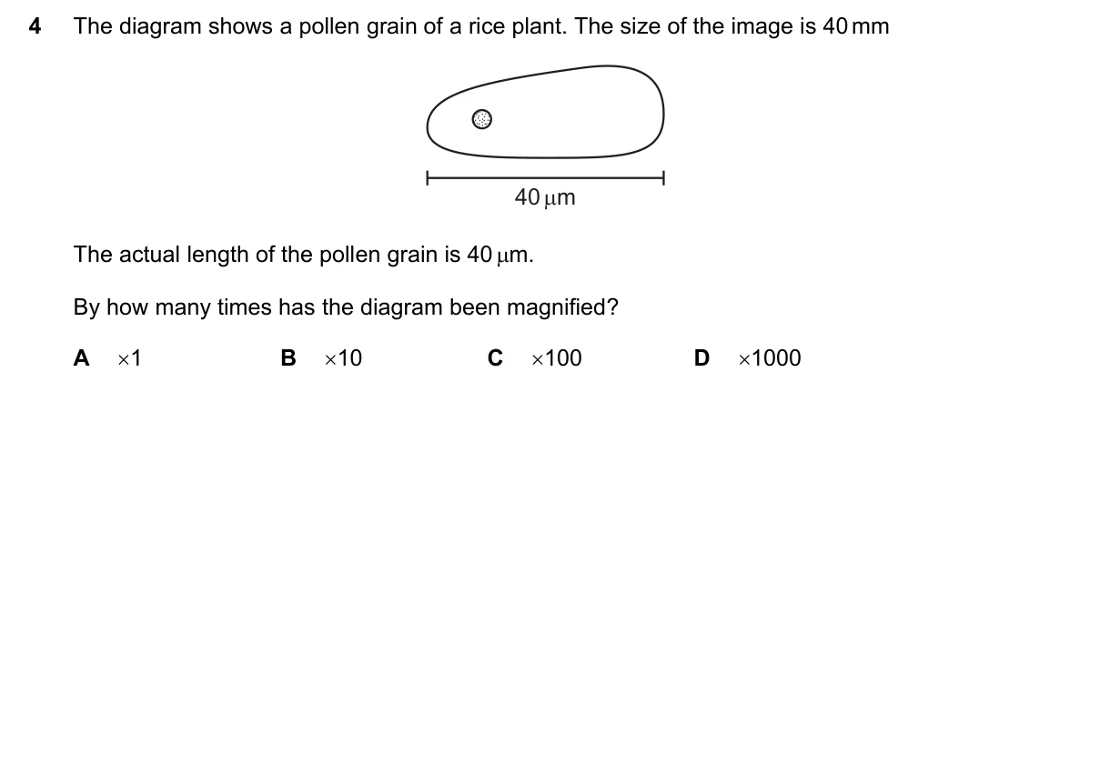 Question 4, November 2017, 0610 Paper 23