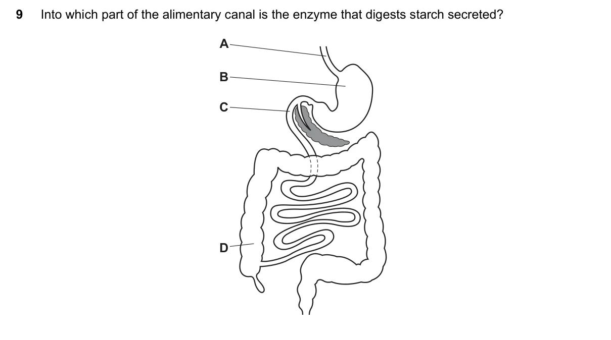 Question 9, November 2017, 0610 Paper 23