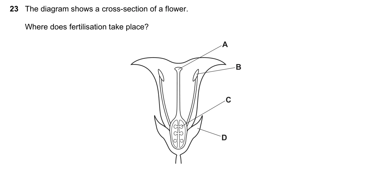 Question 23, March 2018, 0610 Paper 12