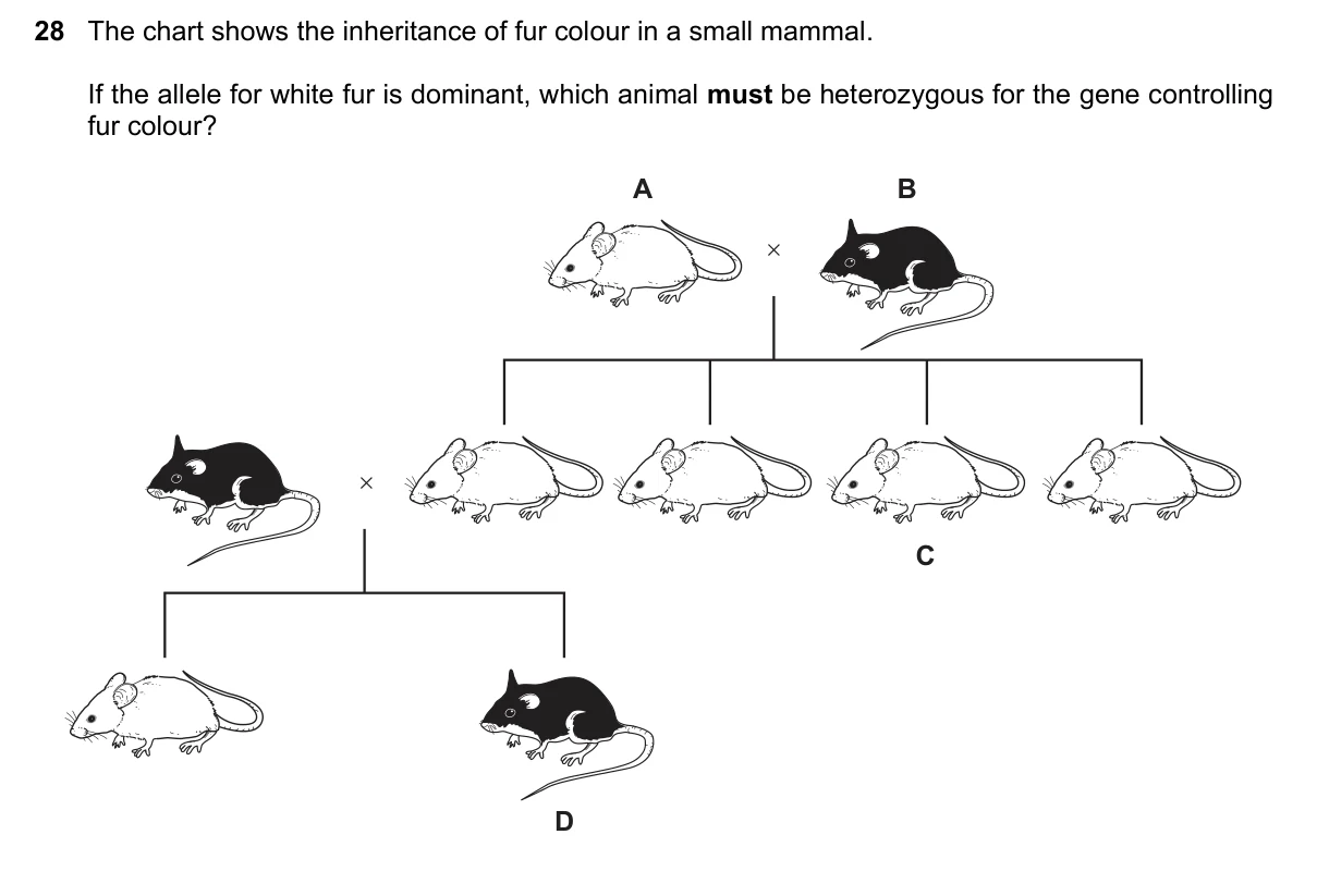 Question 28, March 2018, 0610 Paper 12