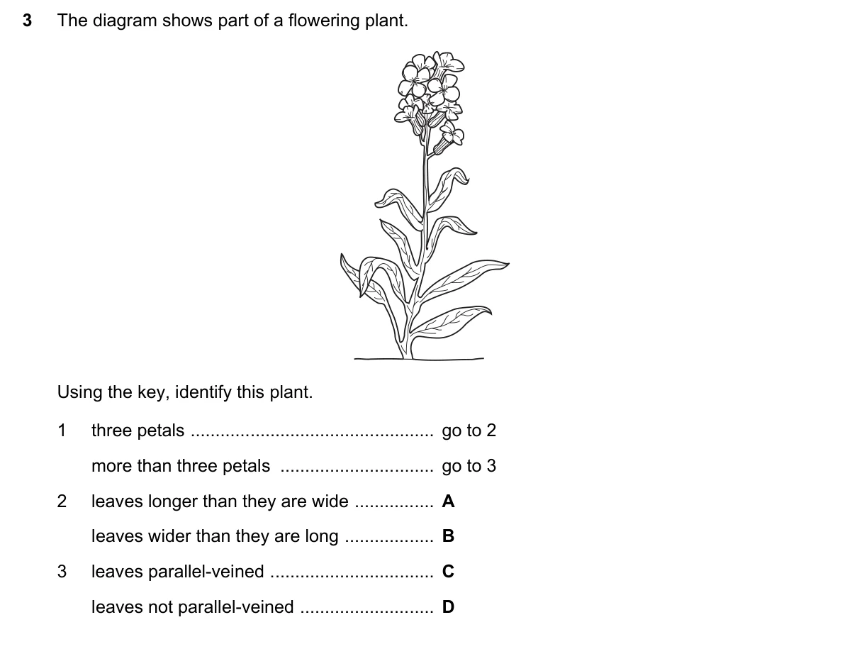 Question 3, March 2018, 0610 Paper 12