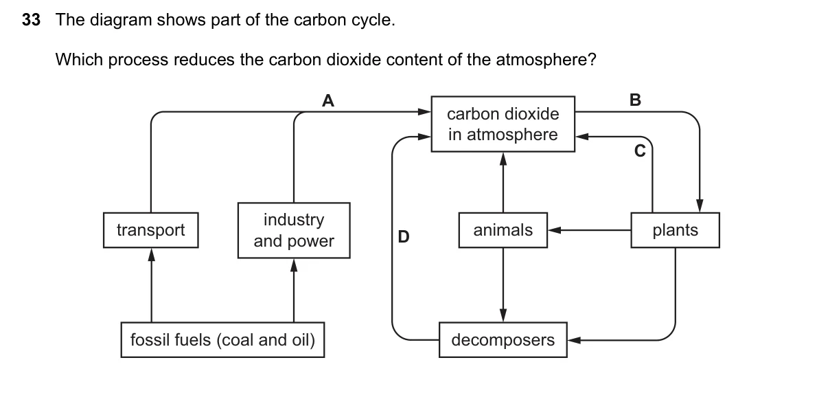 Question 33, March 2018, 0610 Paper 12