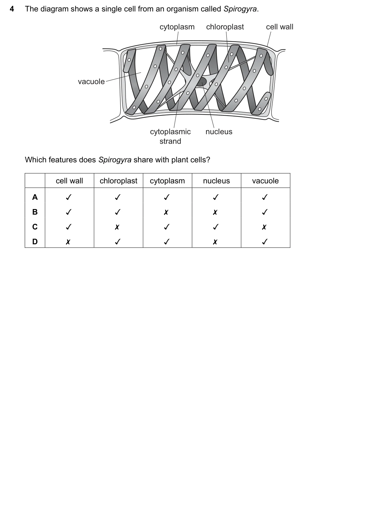 Question 4, March 2018, 0610 Paper 12