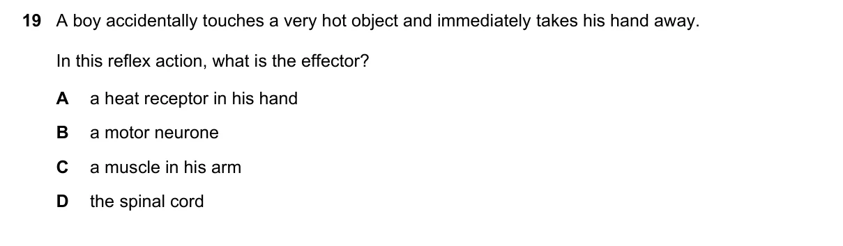 Question 19, March 2018, 0610 Paper 22