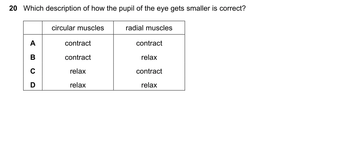 Question 20, March 2018, 0610 Paper 22