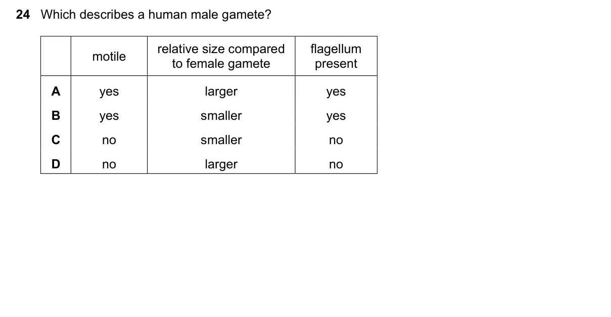 Question 24, March 2018, 0610 Paper 22