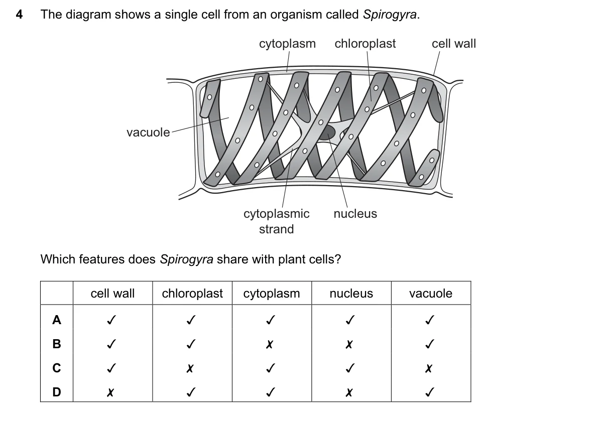 Question 4, March 2018, 0610 Paper 22