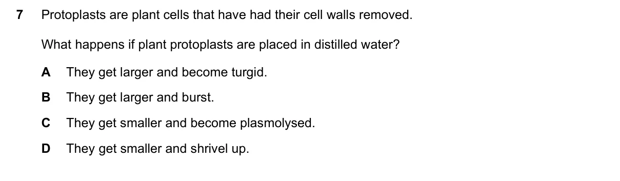 Question 7, March 2018, 0610 Paper 22