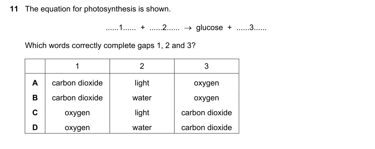 Question 11, June 2018, 0610 Paper 11