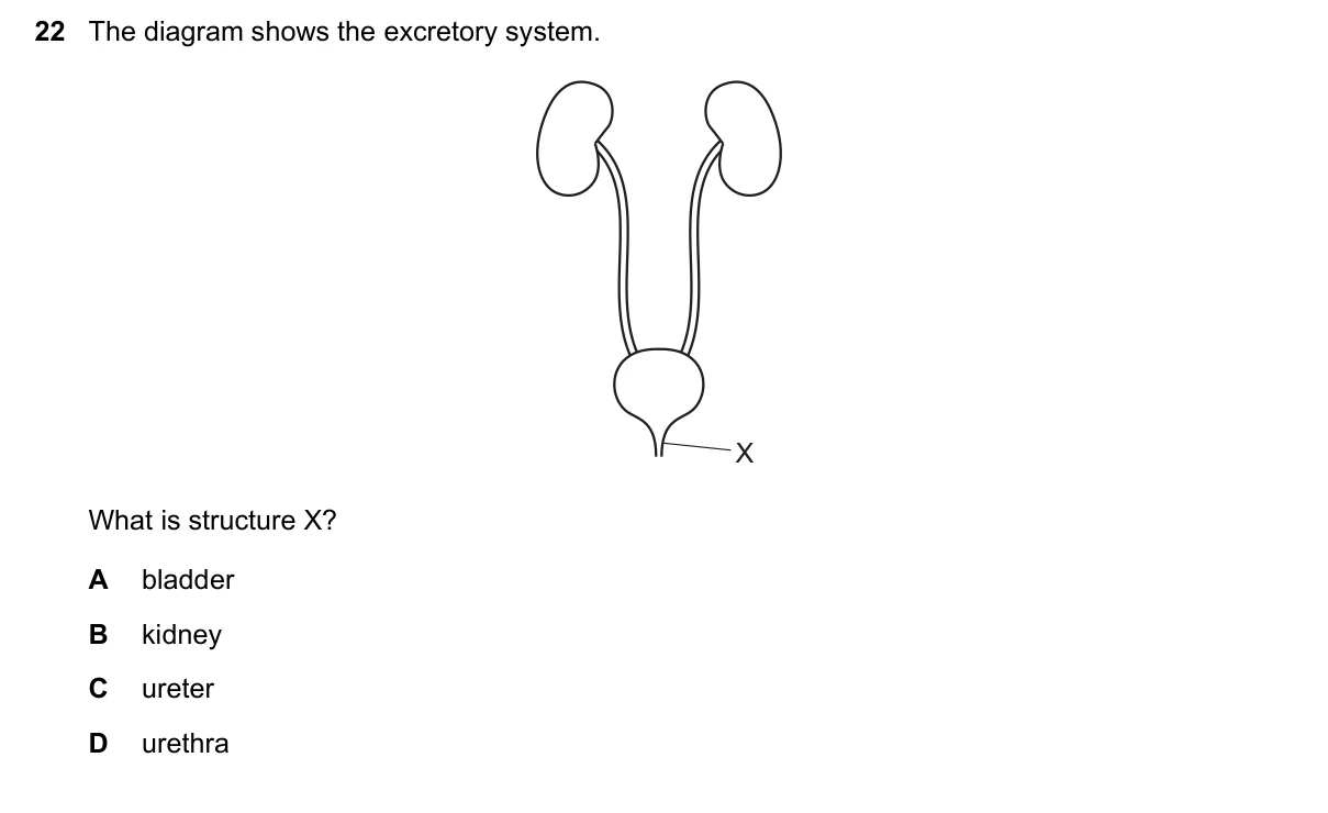 Question 22, June 2018, 0610 Paper 11