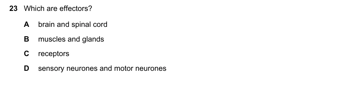 Question 23, June 2018, 0610 Paper 11