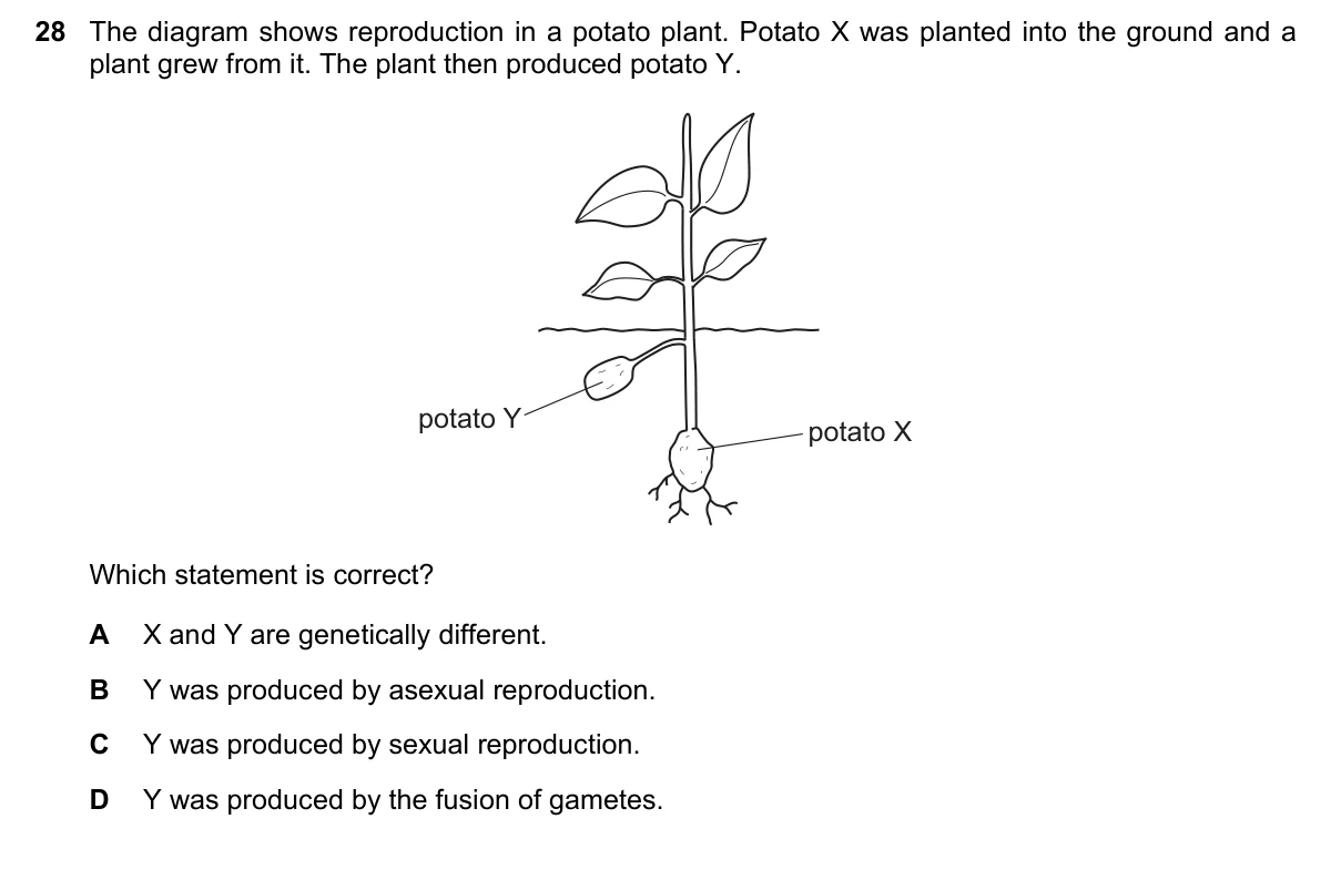 Question 28, June 2018, 0610 Paper 11