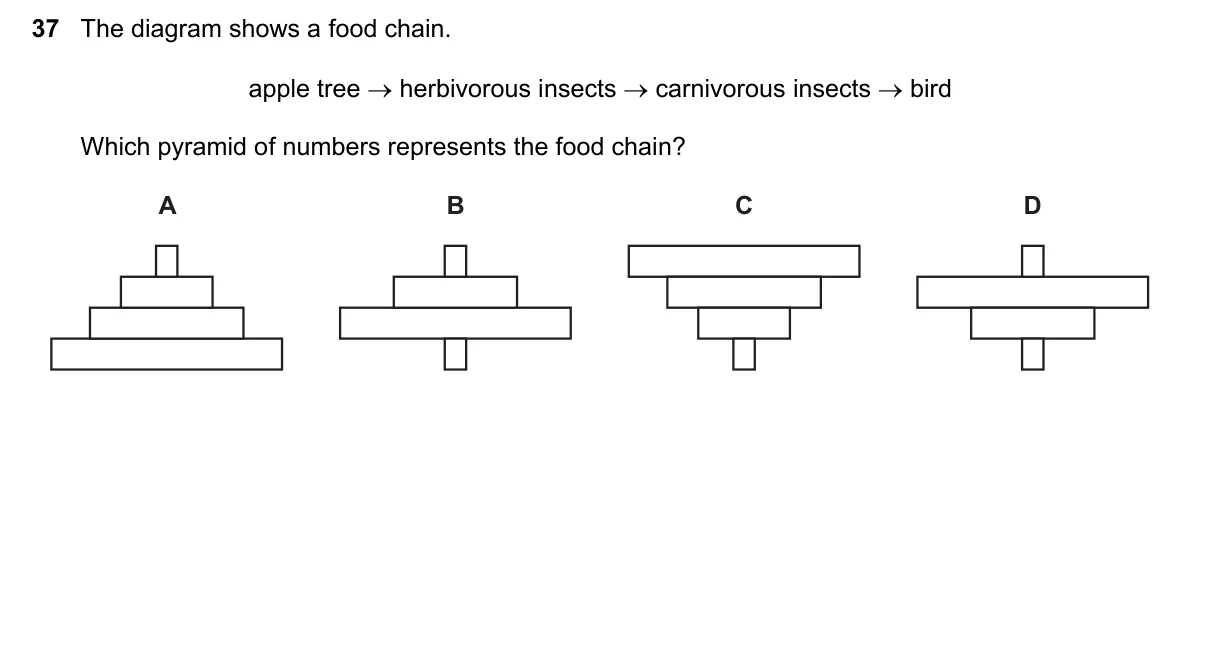 Question 37, June 2018, 0610 Paper 11