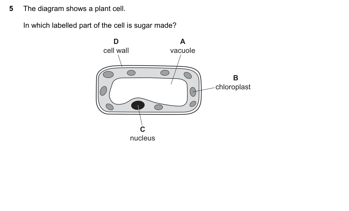 Question 5, June 2018, 0610 Paper 11