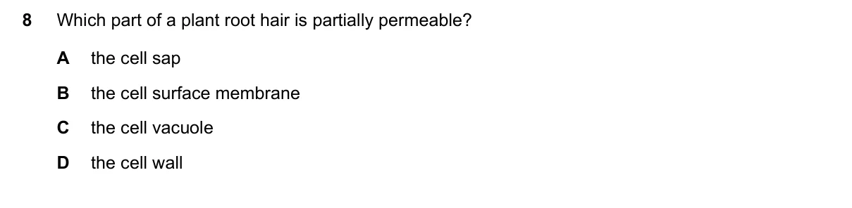 Question 8, June 2018, 0610 Paper 11