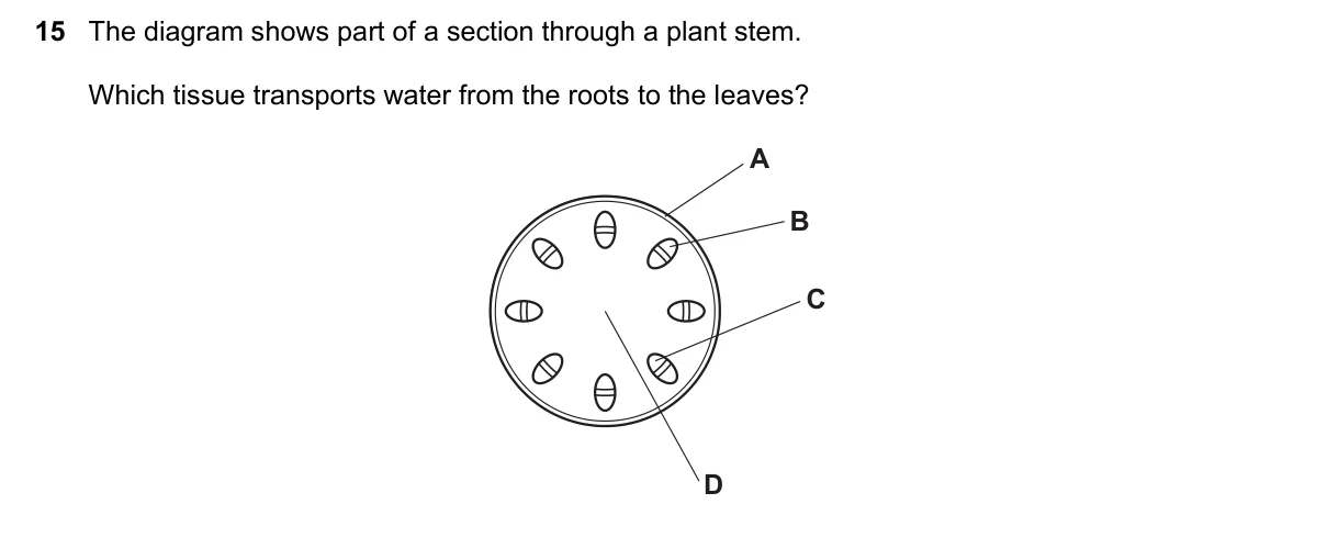 Question 15, June 2018, 0610 Paper 21