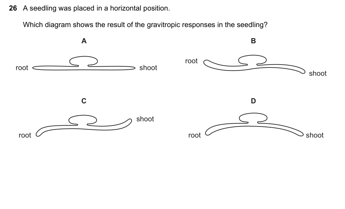 Question 26, June 2018, 0610 Paper 21