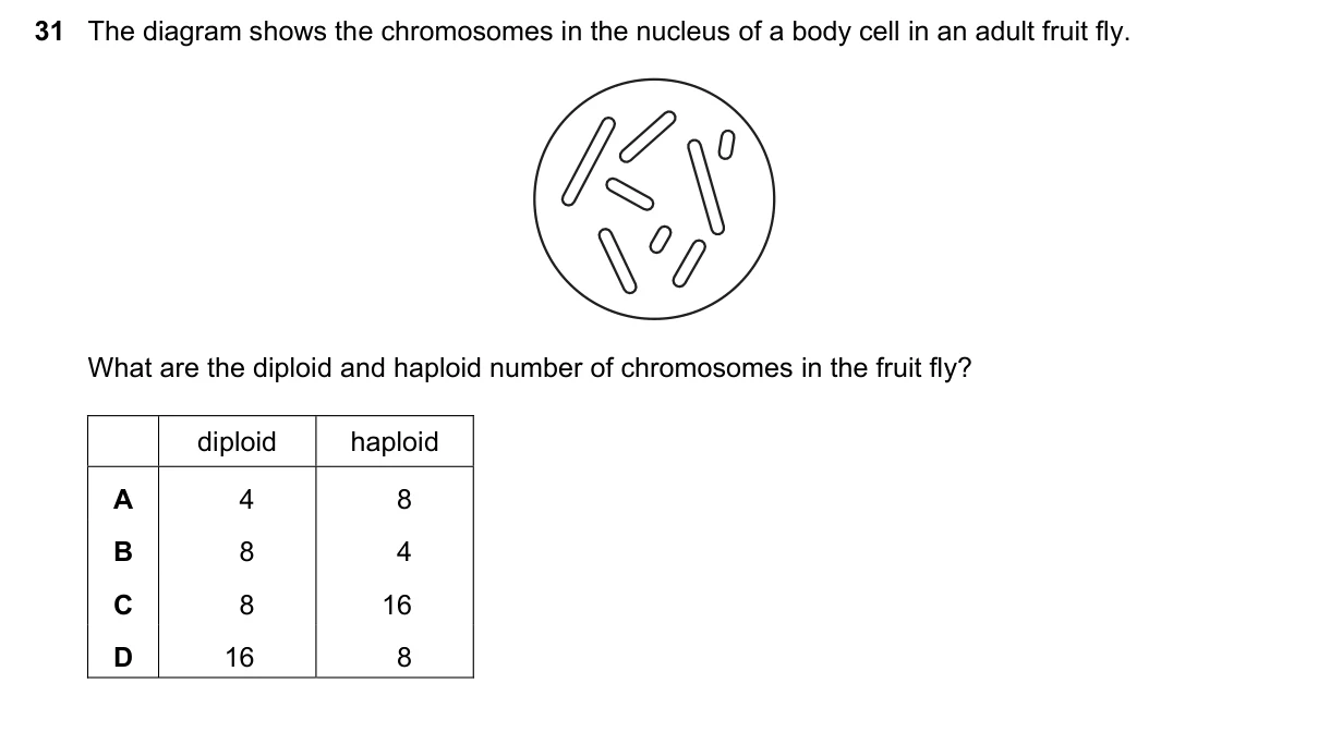 Question 31, June 2018, 0610 Paper 21
