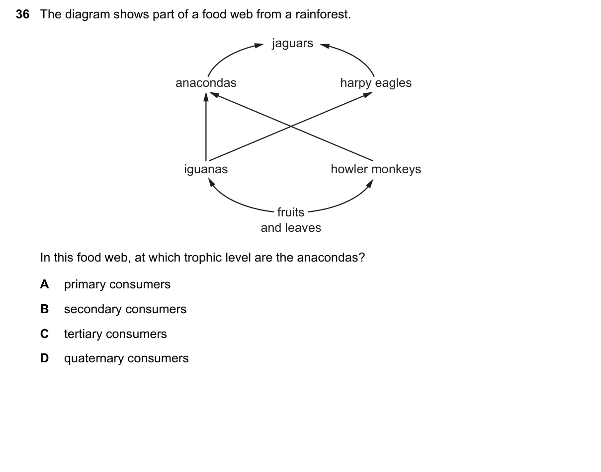 Question 36, June 2018, 0610 Paper 21
