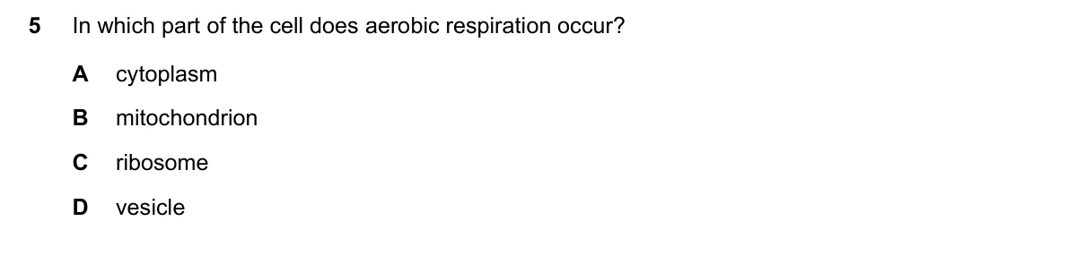 Question 5, June 2018, 0610 Paper 21