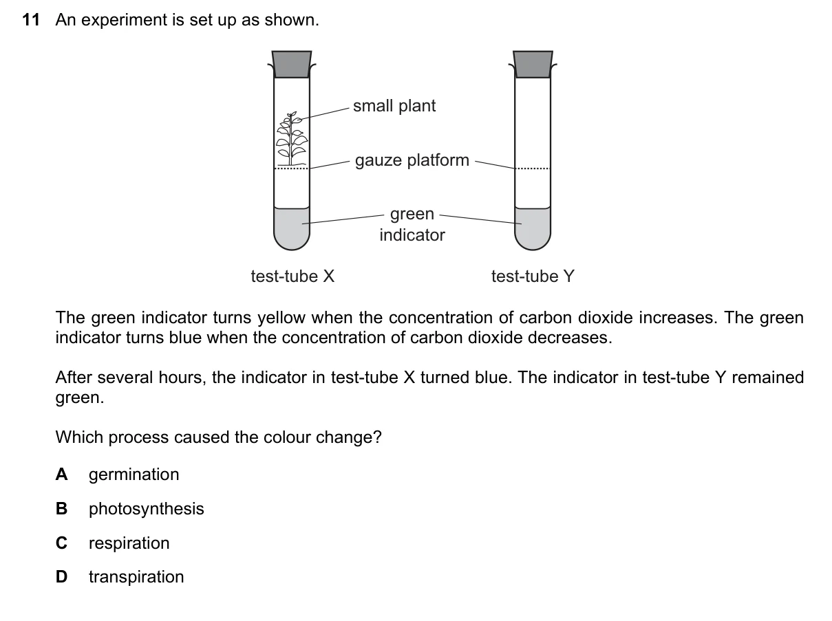 Question 11, June 2018, 0610 Paper 12