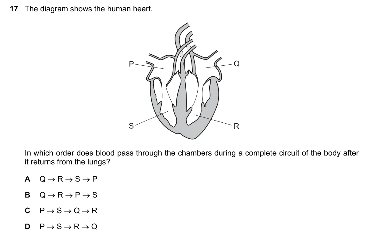 Question 17, June 2018, 0610 Paper 12