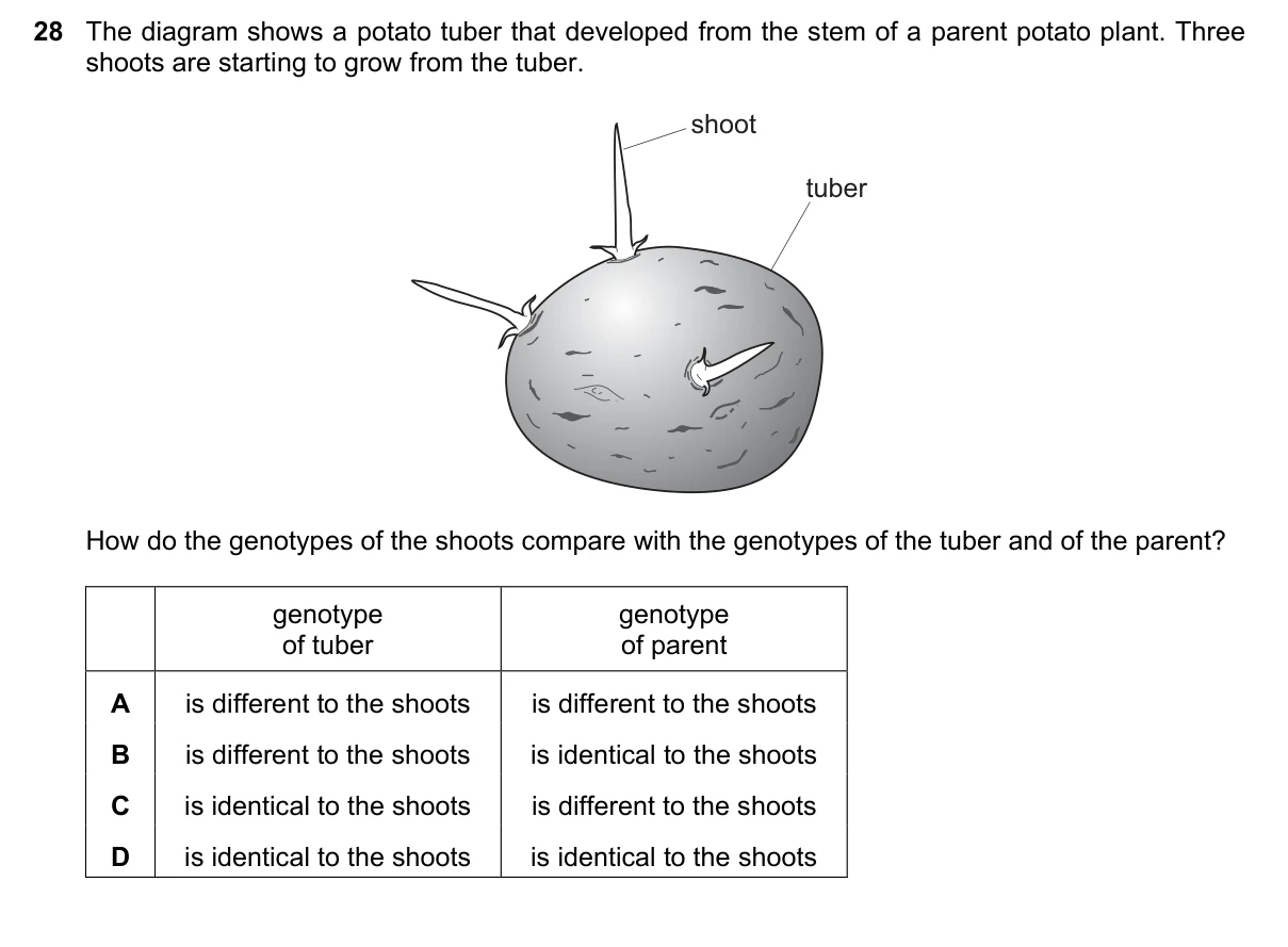 Question 28, June 2018, 0610 Paper 12