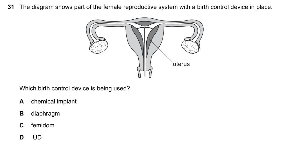 Question 31, June 2018, 0610 Paper 12