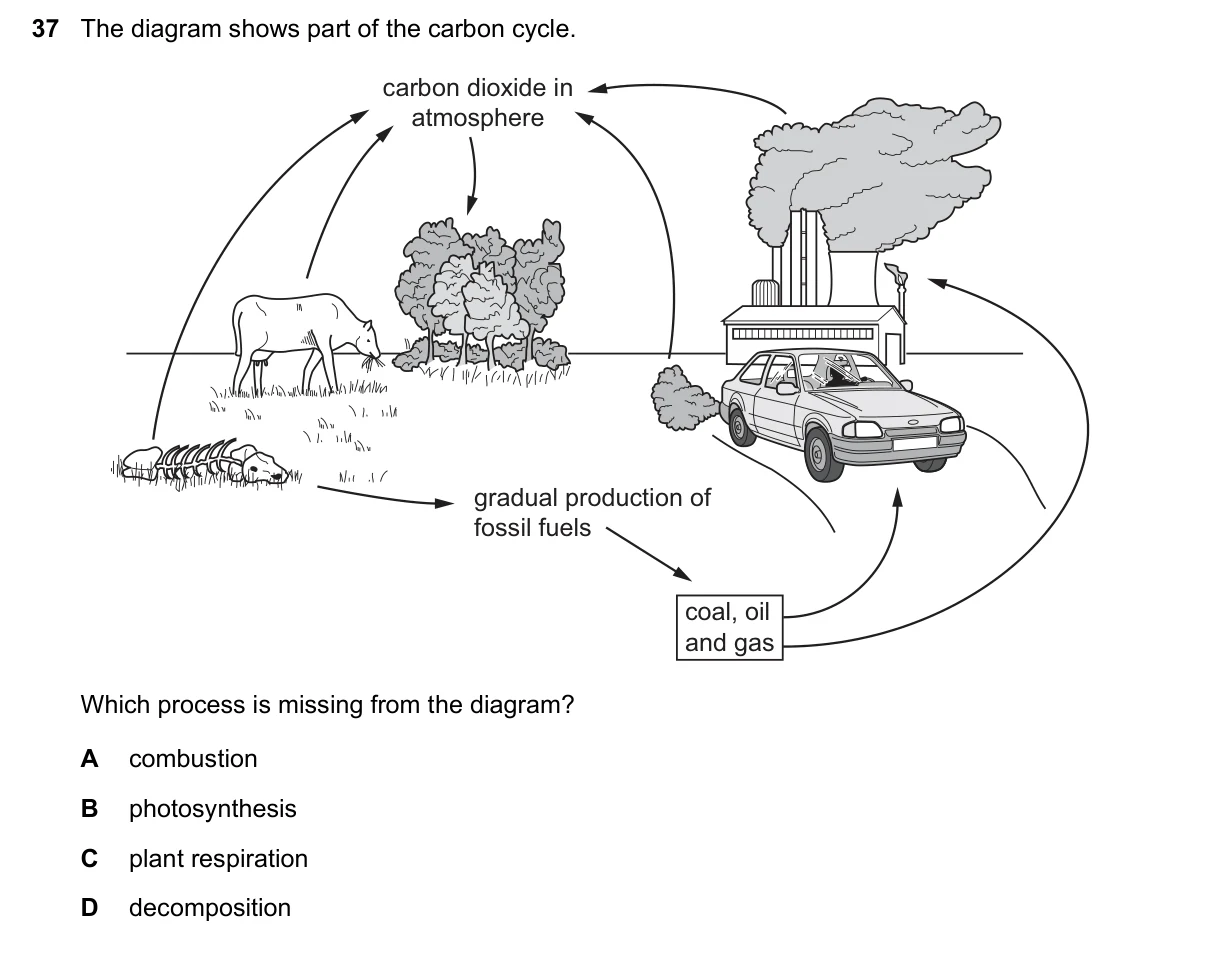Question 37, June 2018, 0610 Paper 12