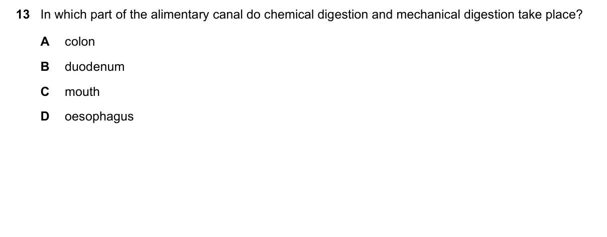 Question 13, June 2018, 0610 Paper 22