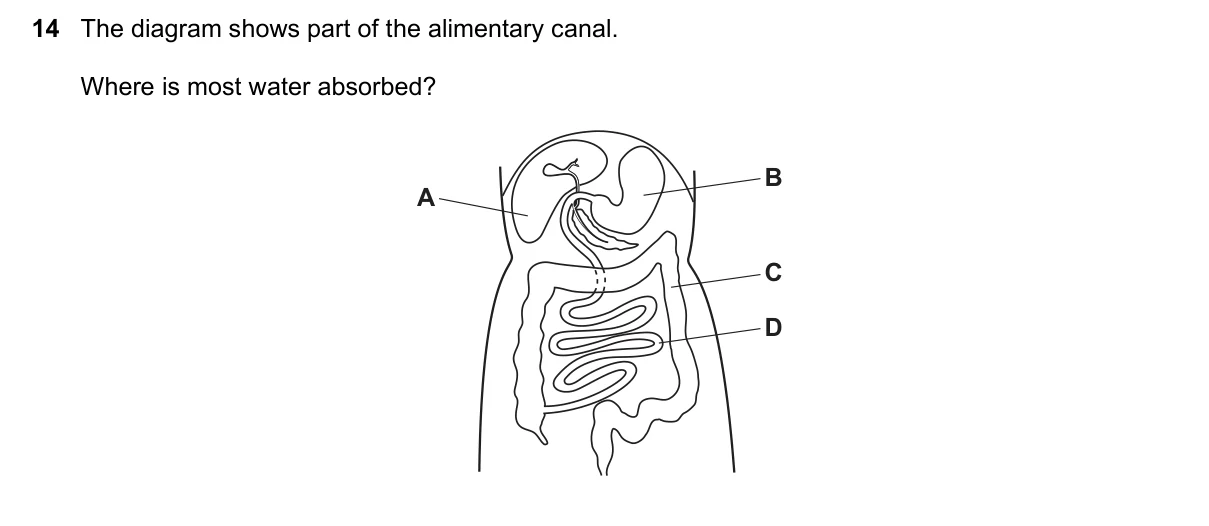 Question 14, June 2018, 0610 Paper 22