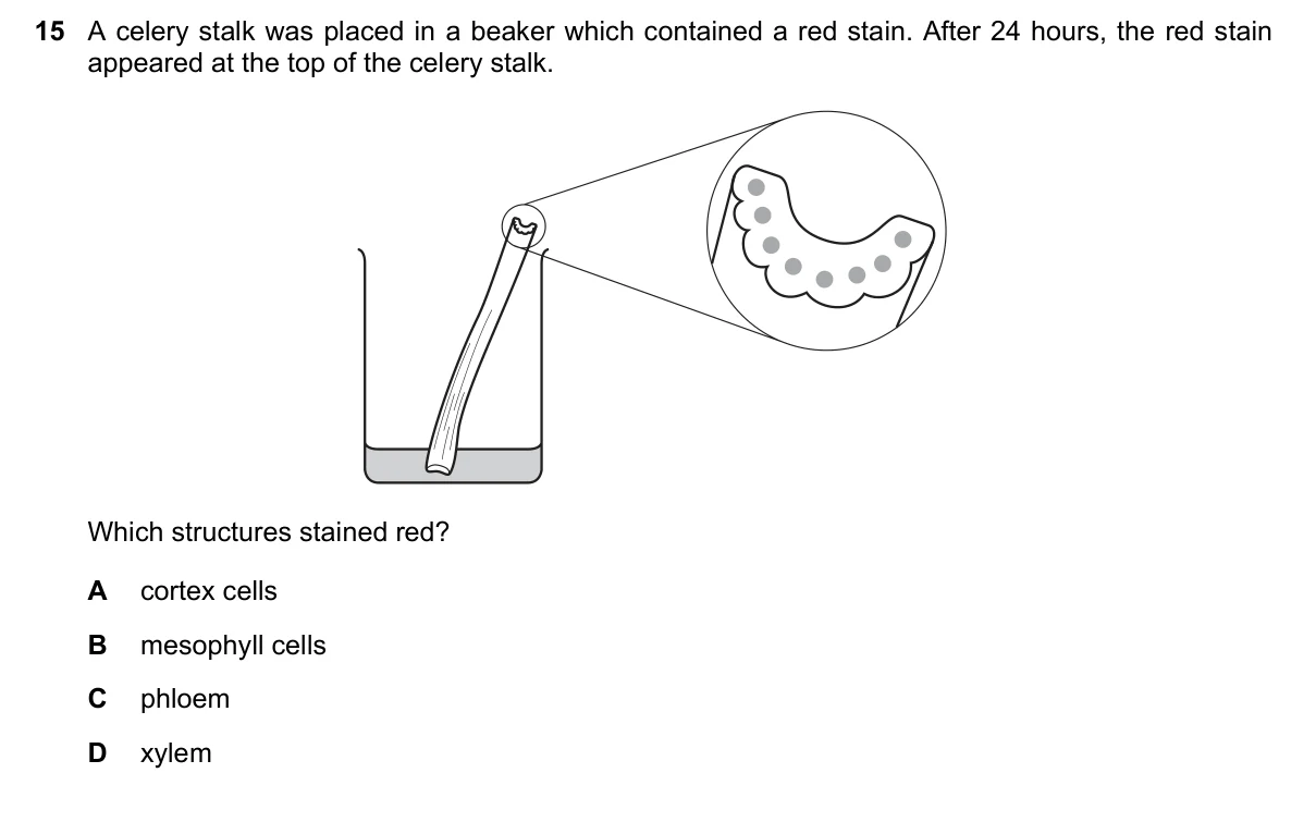Question 15, June 2018, 0610 Paper 22