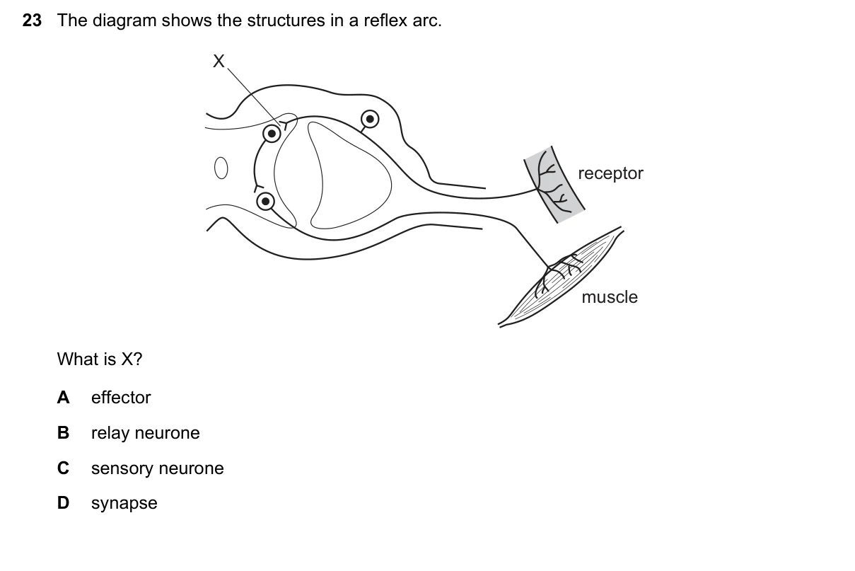 Question 23, June 2018, 0610 Paper 22