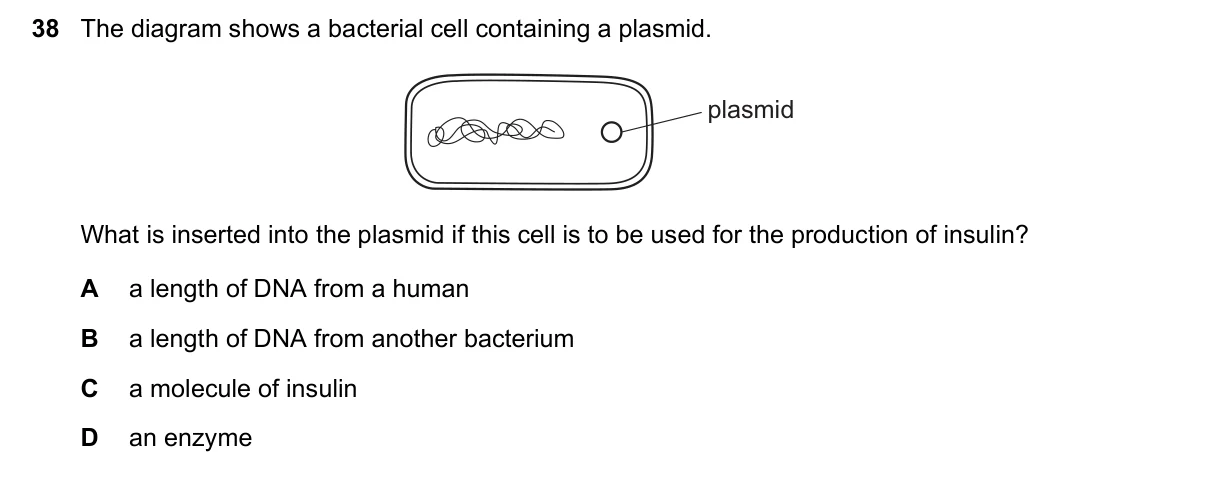 Question 38, June 2018, 0610 Paper 22