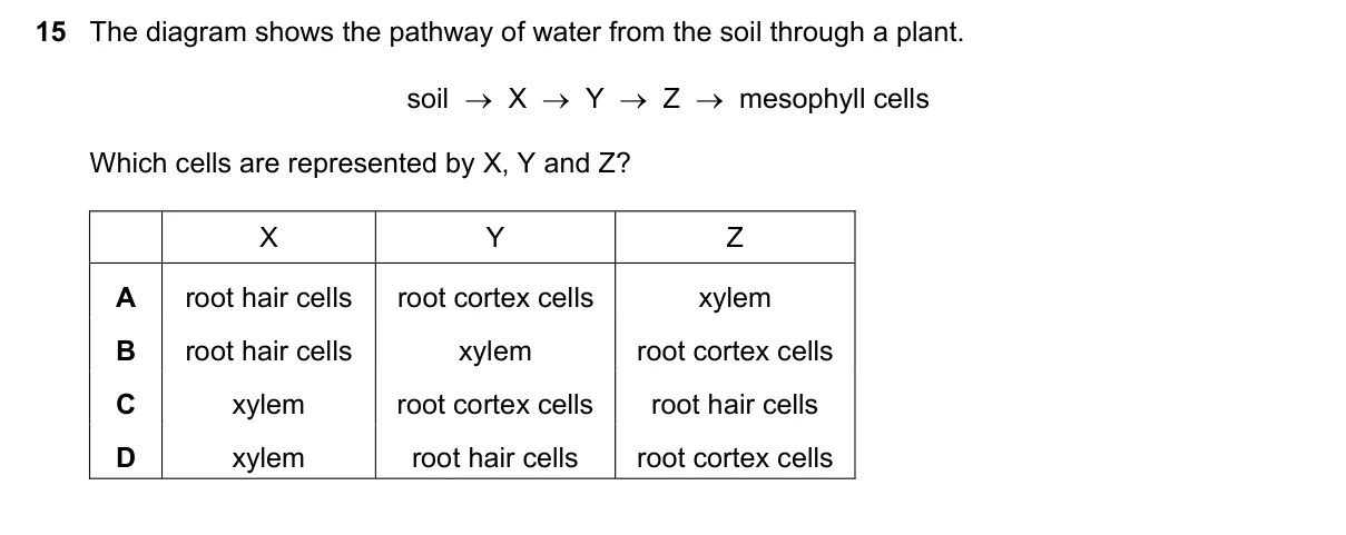Question 15, June 2018, 0610 Paper 13