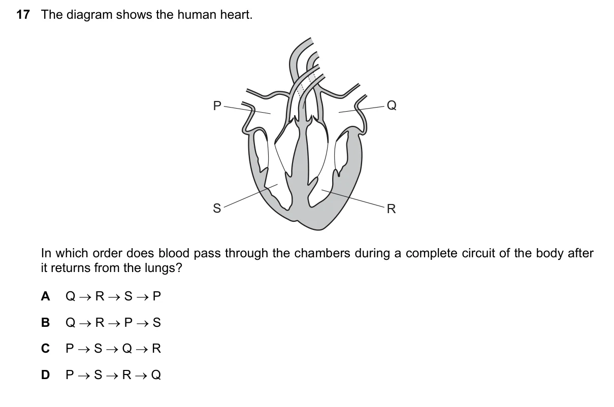 Question 17, June 2018, 0610 Paper 13