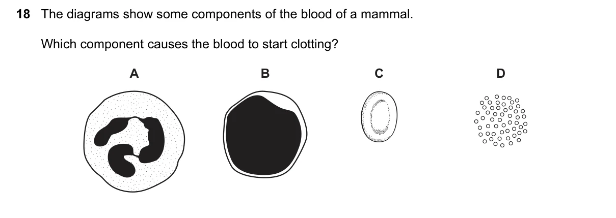 Question 18, June 2018, 0610 Paper 13