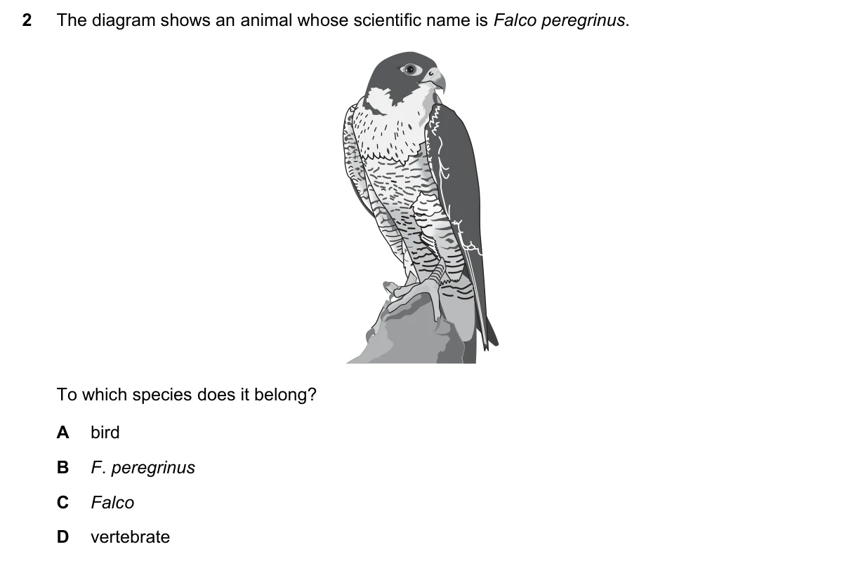 Question 2, June 2018, 0610 Paper 13