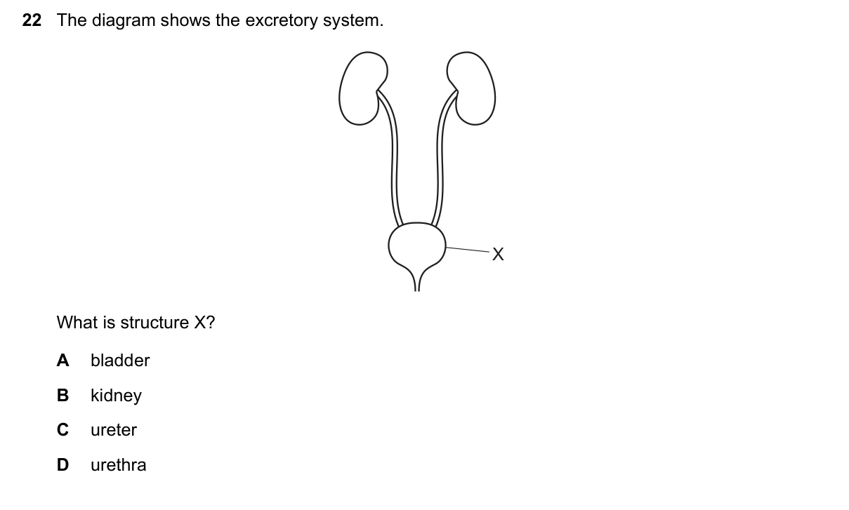 Question 22, June 2018, 0610 Paper 13