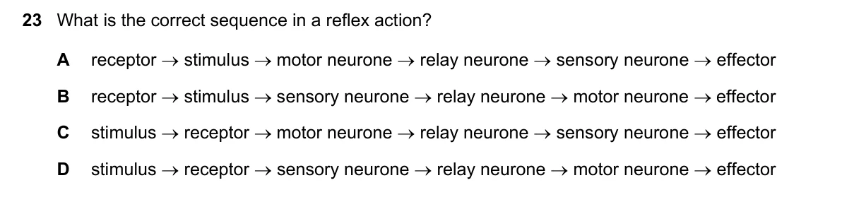 Question 23, June 2018, 0610 Paper 13