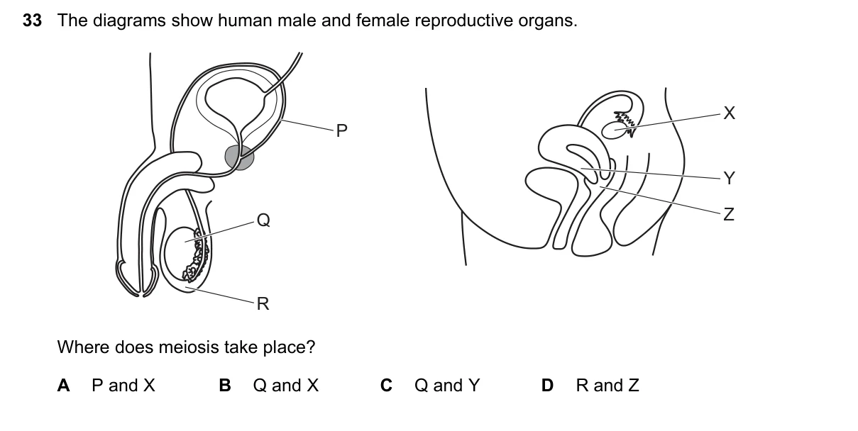 Question 33, June 2018, 0610 Paper 13