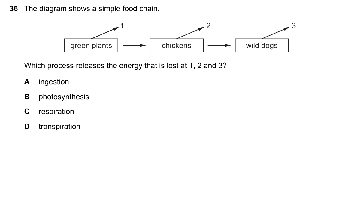 Question 36, June 2018, 0610 Paper 13