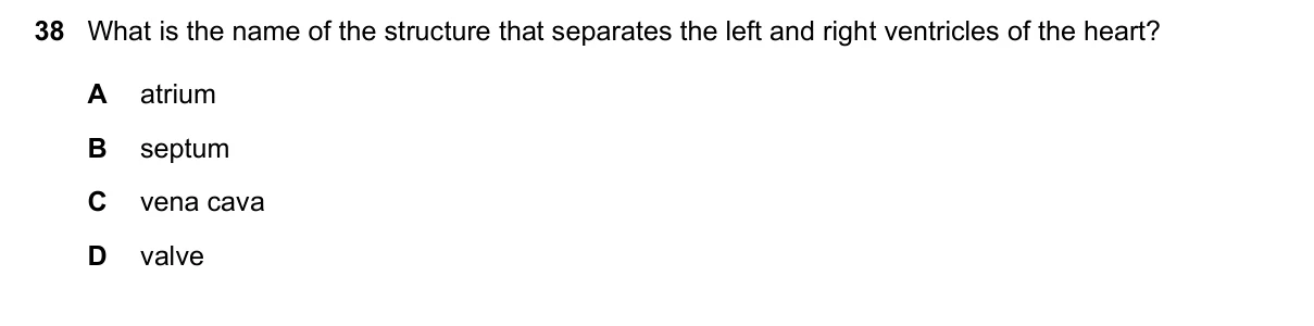 Question 38, June 2018, 0610 Paper 13