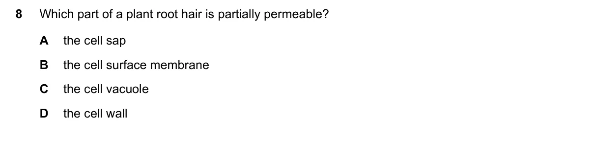 Question 8, June 2018, 0610 Paper 13
