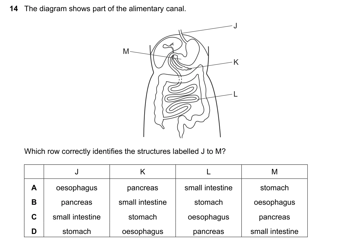 Question 14, June 2018, 0610 Paper 23
