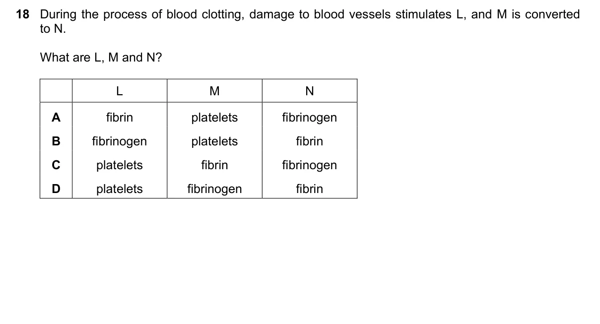Question 18, June 2018, 0610 Paper 23
